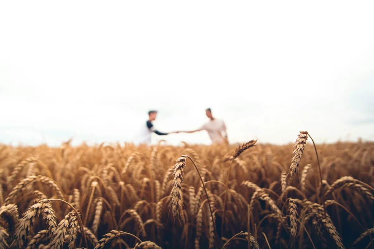 Consultoria em Administração Agrícola